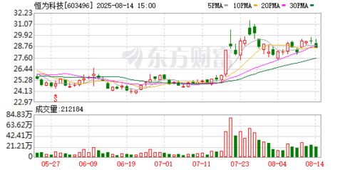 恒為科技布局新賽道，投資成立數字技術服務公司